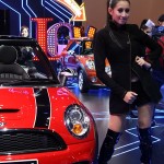 Mini Pretty Motor Show 2011 (2)