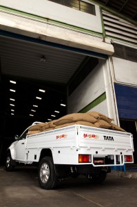 ด้านหลัง TATA Xenon Giant Heavy Duty