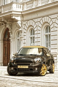 Mini Paceman