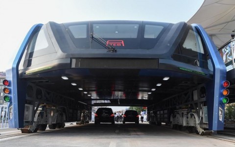 Transit Elevated Bus