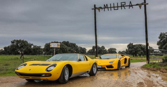 lamborghini-miura