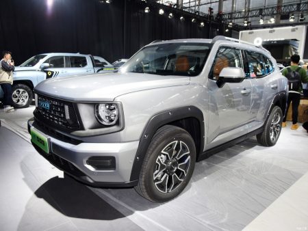 2023 Haval H-Dog 